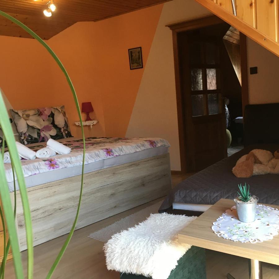Apartment U Malse 12 Czeskie Budziejowice Zewnętrze zdjęcie