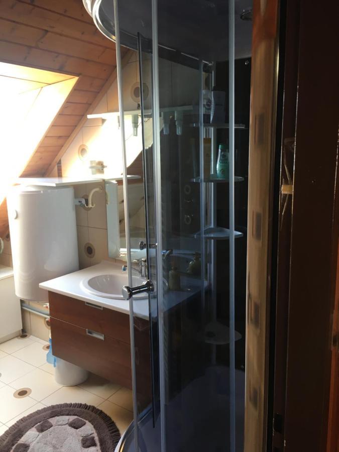 Apartment U Malse 12 Czeskie Budziejowice Zewnętrze zdjęcie
